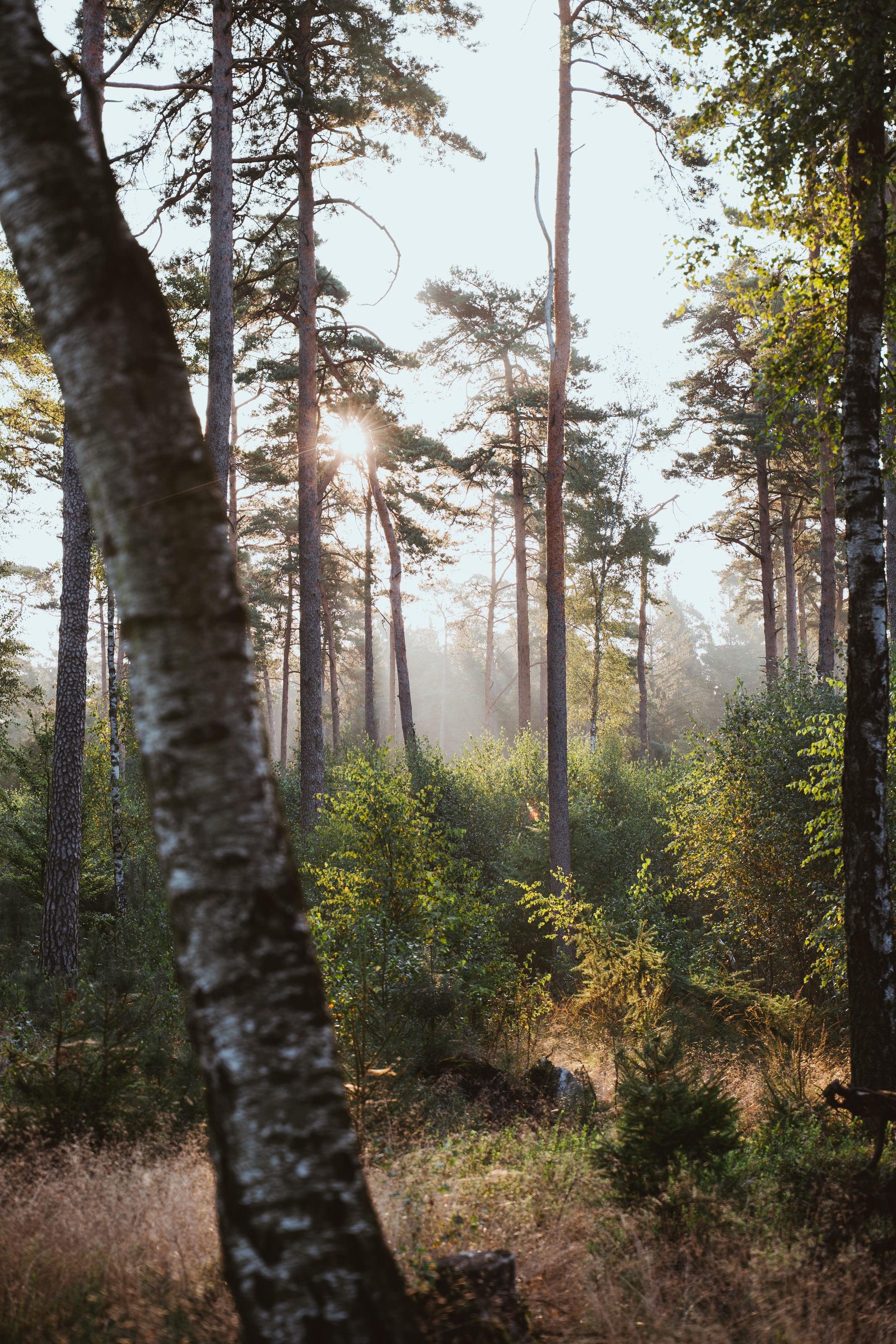 Landscape Photo 22